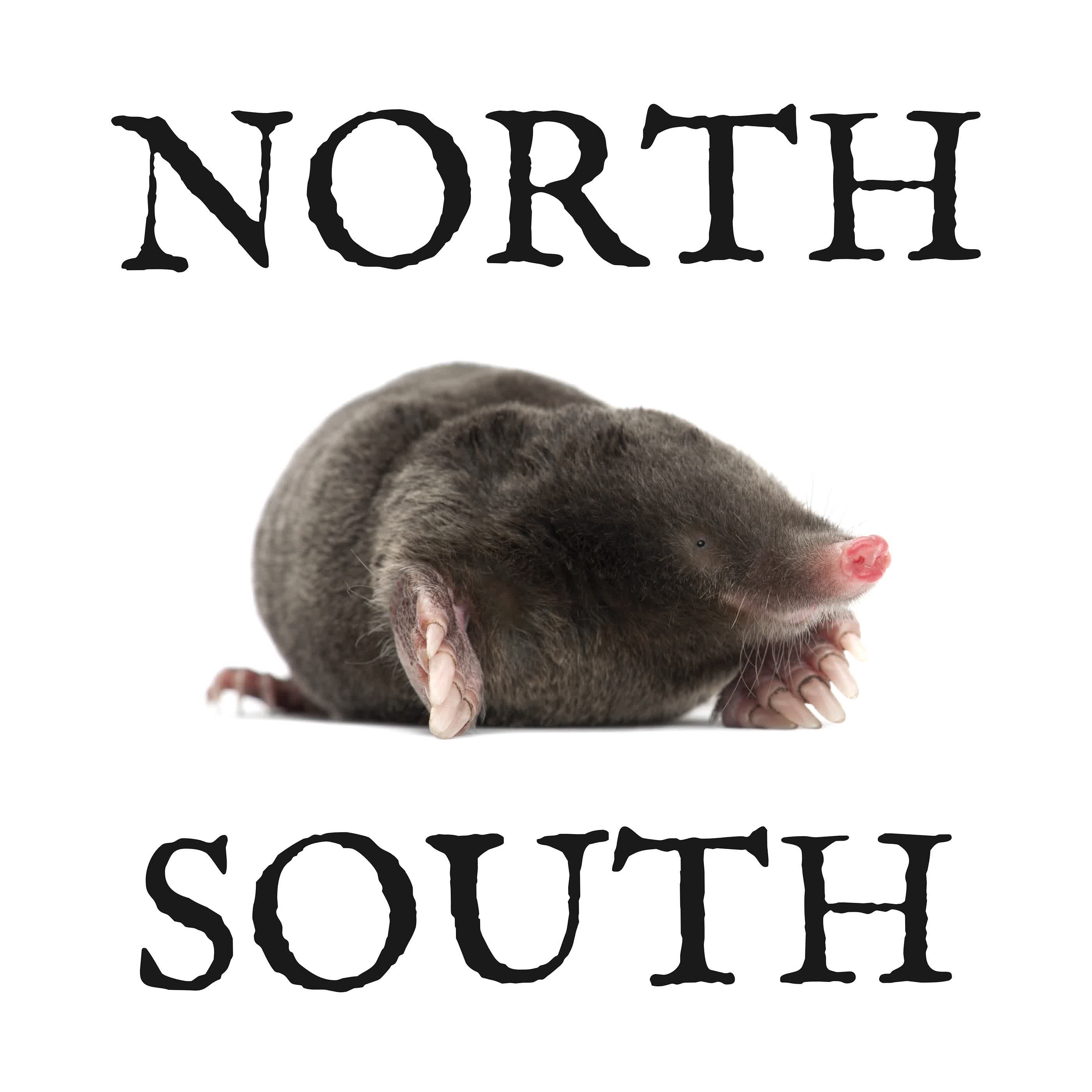 North v South